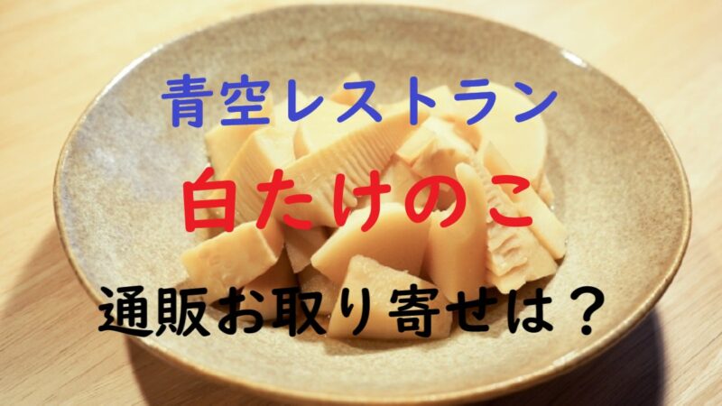 たけのこ画像