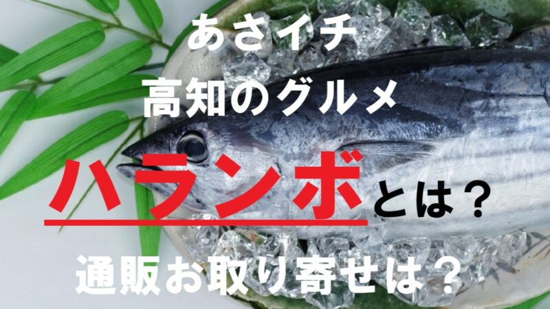 カツオ・ハランボ