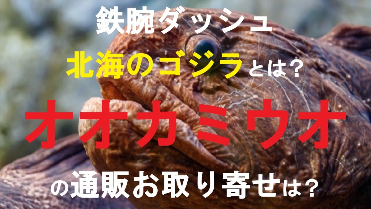 オオカミウオ00
