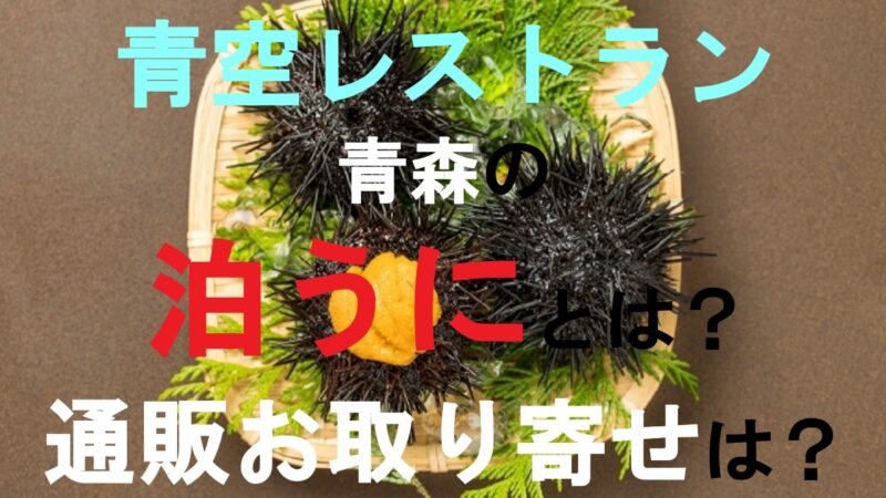 泊うに