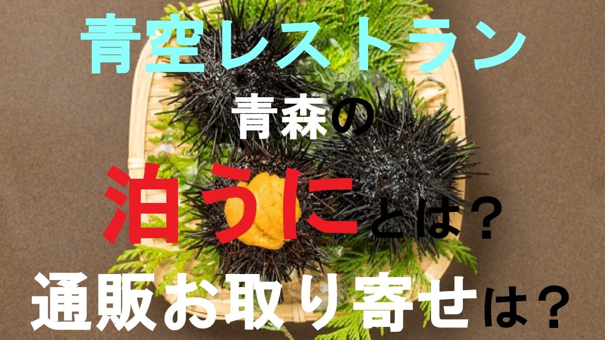 泊うに