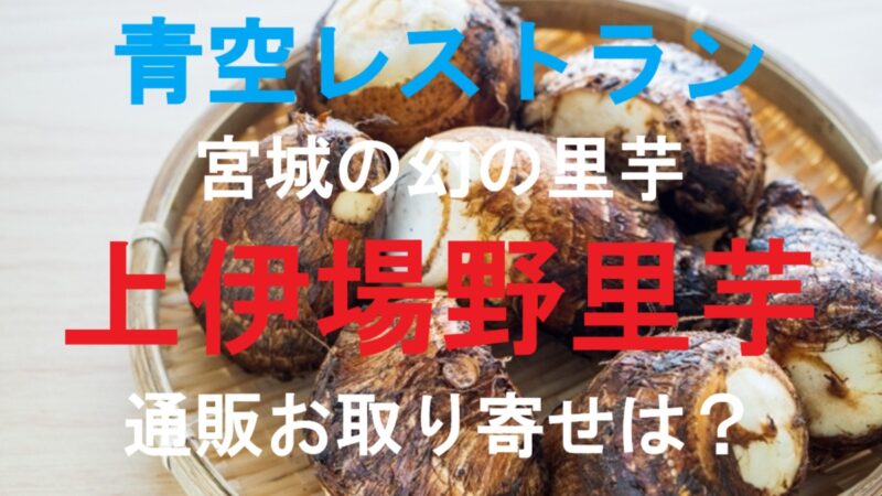 上伊場野里芋