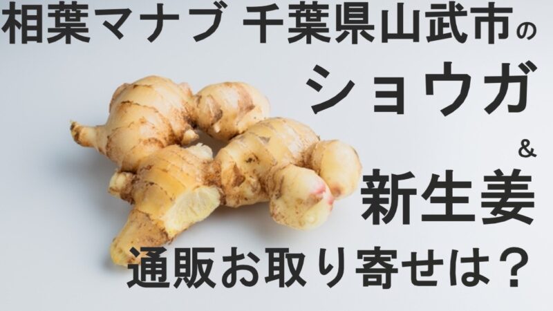 相葉マナブ・生姜