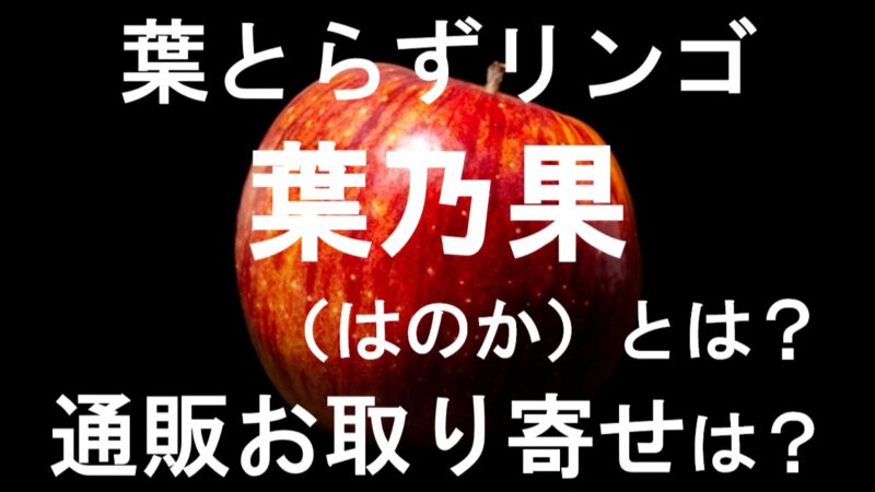 葉乃果りんご