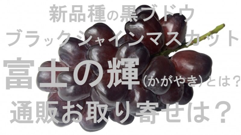 ブラックシャインマスカット富士の輝